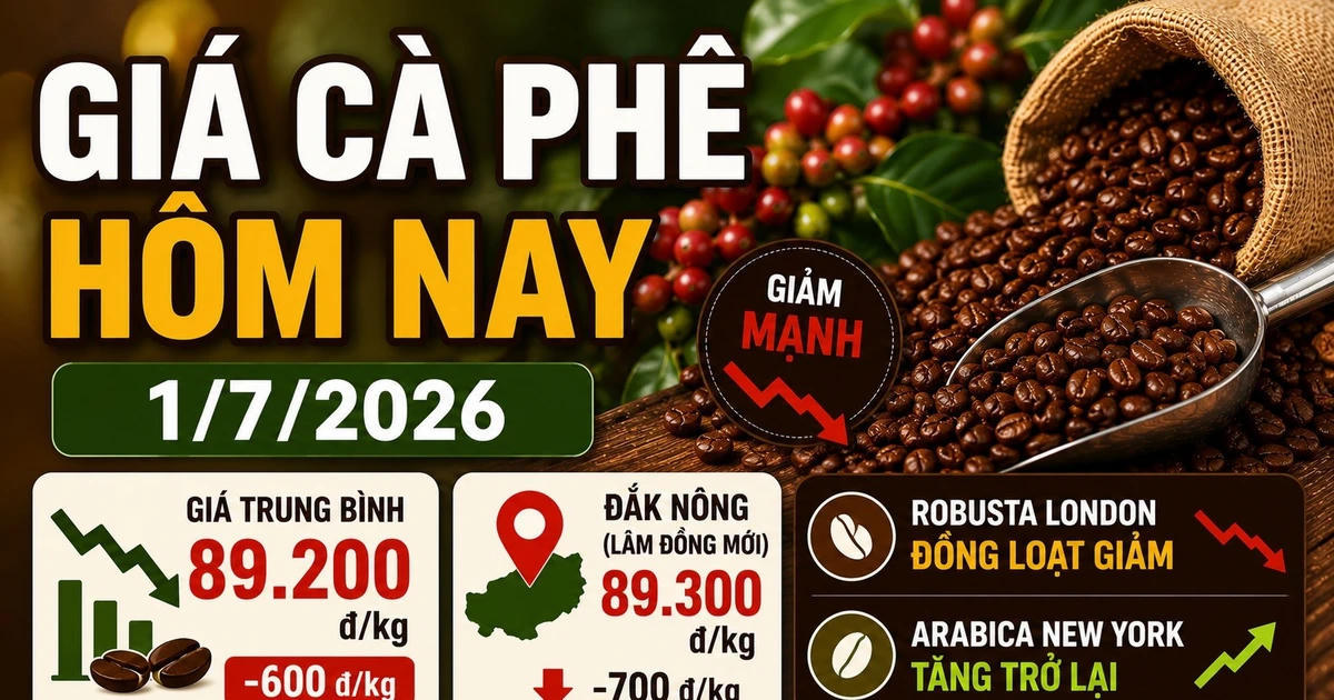Giá cà phê hôm nay sáng 1/7: Trong nước giảm còn 89.200 đồng/kg