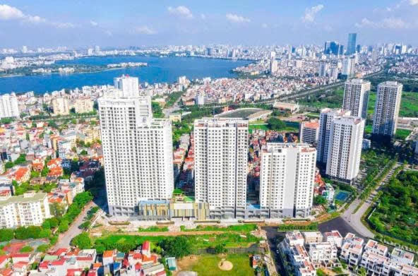 Tp.HCM yêu cầu xử lý nghiêm doanh nghiệp nhà nước sử dụng đất sai mục đích.