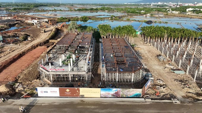 Công ty Cổ phần Tập đoàn Bờ Biển Vàng nợ thuế hơn 8,2 tỷ đồng