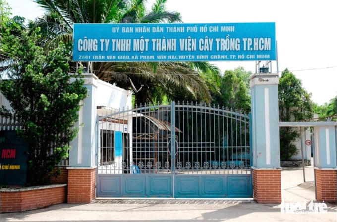 Công ty TNHH MTV Cây trồng Tp. HCM nợ thuế hơn 413 tỷ đồng. Ảnh: Báo điện tử Tuổi Trẻ