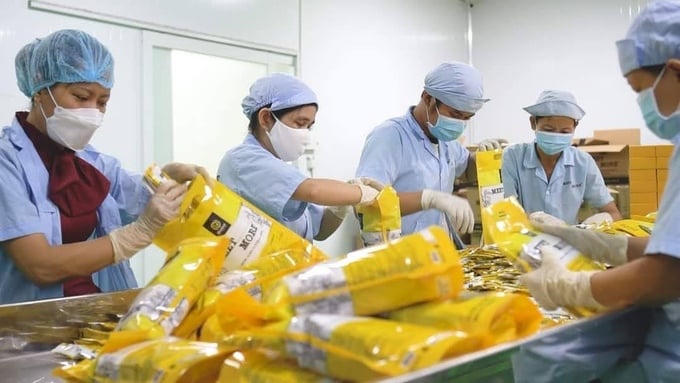 Tín dụng chỉ tạo ra tác động kinh tế khi dòng tiền đi vào sản xuất.