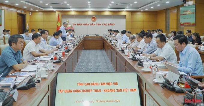 Tỉnh Cao Bằng làm việc với TKV. (Ảnh: Báo Cao Bằng)
