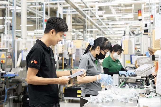 Doanh nghiệp có kế hoạch thâm nhập EU cần bố trí đại diện pháp lý tại thị trường này.