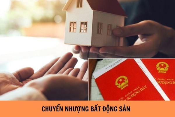 (Ảnh minh họa)
