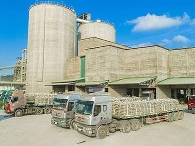 Khai khống hóa đơn, Xi măng Sài Sơn bị phạt và truy thu gần 1,7 tỷ đồng tiền thuế.