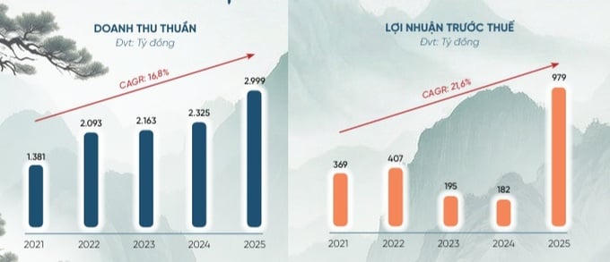Biểu đồ: Doanh thu thuần và lợi nhuận trước thuế của Điện Gia Lai giai đoạn 2021-2025 (đvt: tỷ đồng).