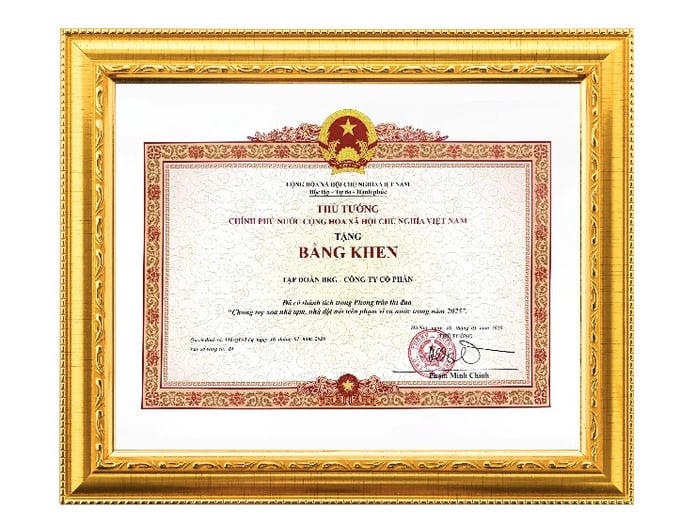 Bằng khen của Thủ tướng Chính phủ trao tặng Tập đoàn BRG.