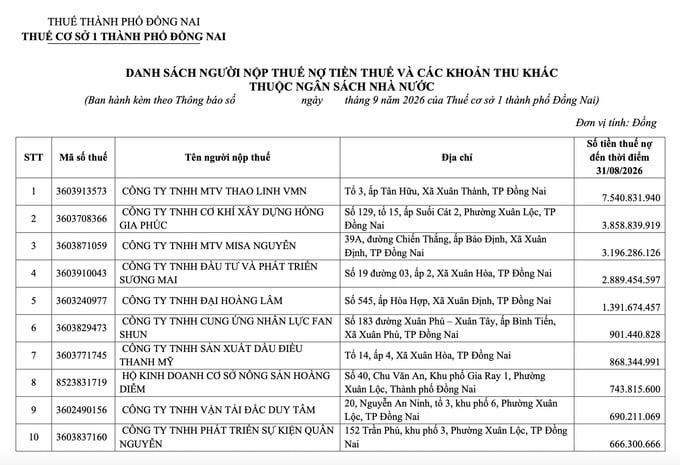 Ảnh màn hình 2026-09-20 lúc 17.10.48