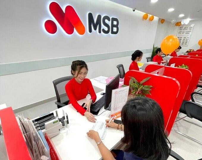 msb-3-20230216161938643