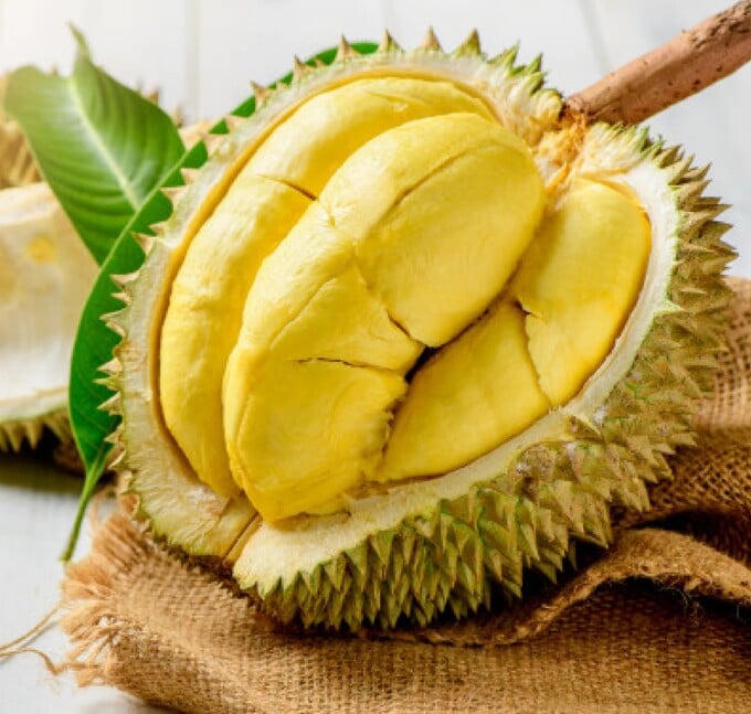 Tính chung 8 tháng đầu năm, xuất khẩu sầu riêng đạt 2,72 tỷ USD, tăng 55% so với cùng kỳ năm ngoái, chiếm 44,3% tổng kim ngạch xuất khẩu rau quả của cả nước.