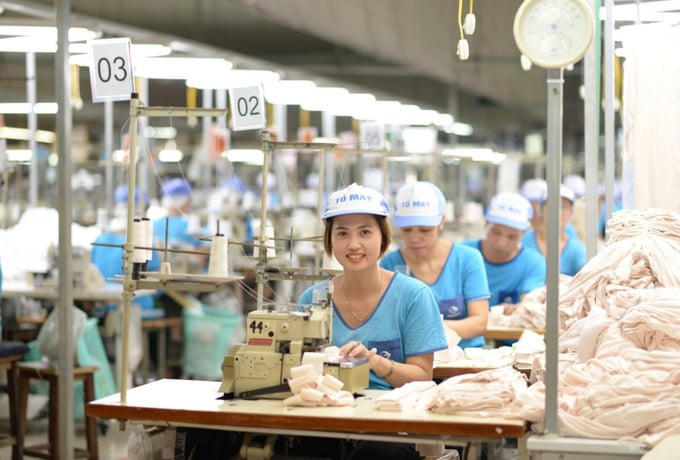 Vinatex cho biết, 9 tháng năm 2026 doanh thu hợp nhất của Tập đoàn ước đạt 15.501 tỷ đồng.