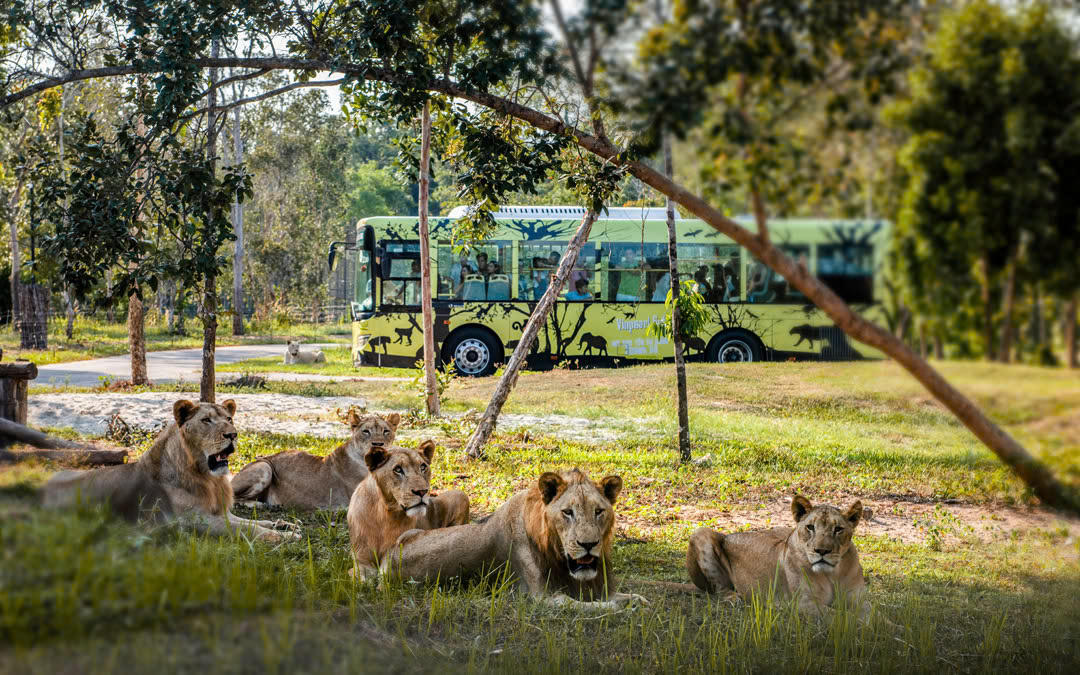 Nắm giữ “kỷ lục kép” thế giới - Vinpearl Safari Phú Quốc “khủng” cỡ nào?