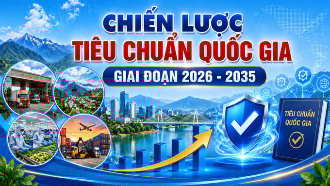 chien-luoc-tieu-chuan-quoc-gia-tai-lao-cai-1780541333