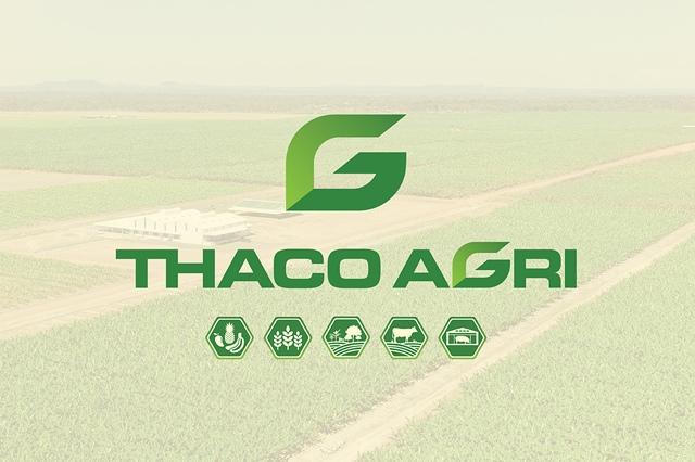 Thaco Agri bị phạt 92,5 triệu đồng do chậm công bố hàng loạt báo cáo.