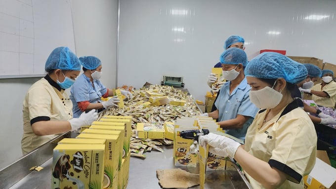 Phát triển sản phẩm cà phê chế biến mang thương hiệu riêng mở thêm cơ hội tiếp cận người tiêu dùng và nâng giá trị xuất khẩu.