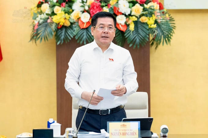Phó chủ tịch Quốc hội Nguyễn Hồng Diên.