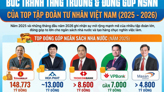 Bức tranh tăng trưởng và đóng góp NSNN của Top tập đoàn tư nhân Việt Nam Bức tranh tăng trưởng và đóng góp NSNN của Top tập đoàn tư nhân Việt Nam