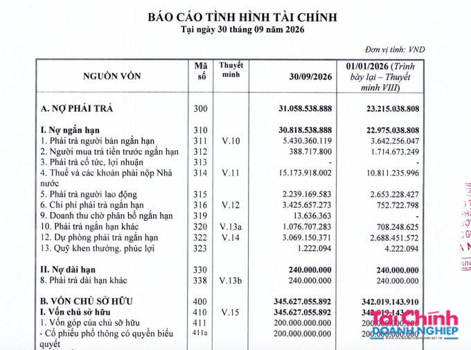 Nợ phải trả của Halico hiện đang ở mức hơn 31 tỷ đồng, trong đó phần lớn là nợ ngắn hạn.