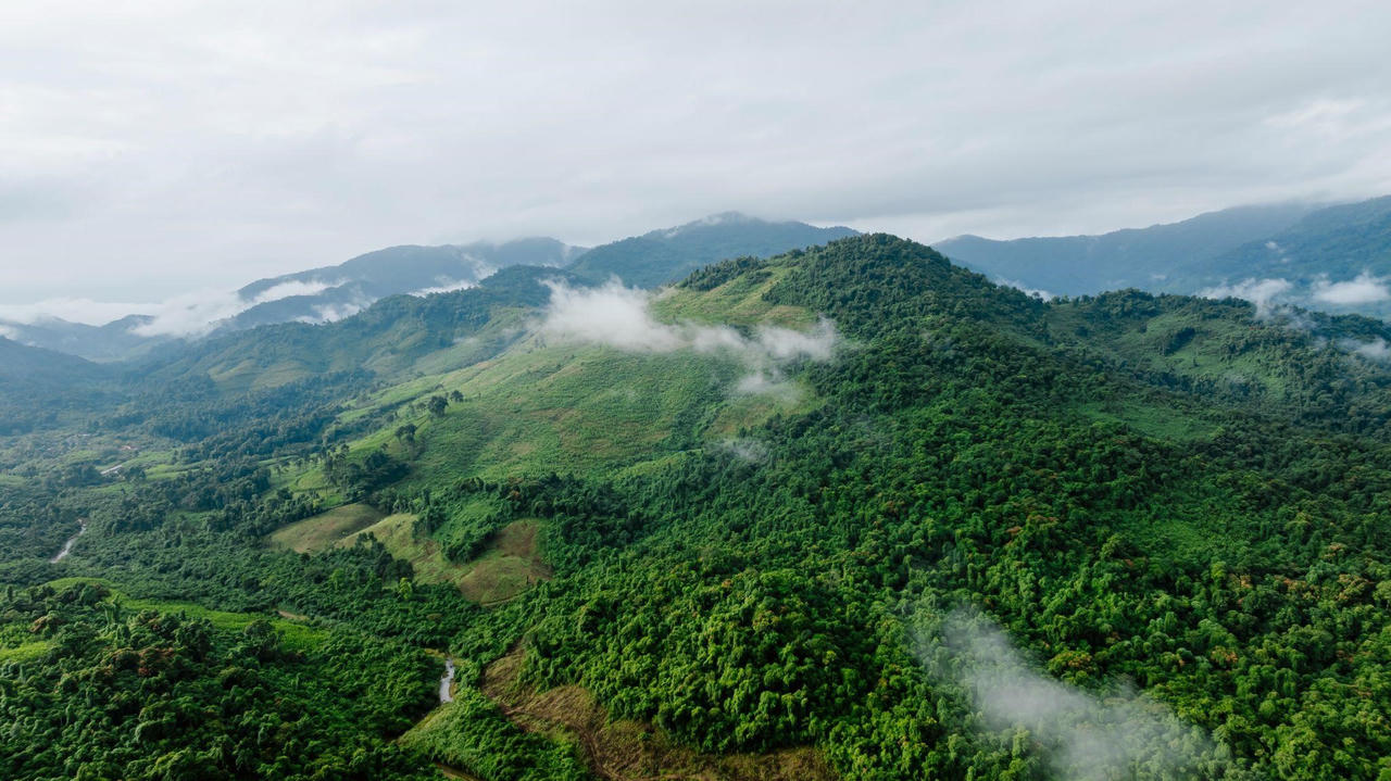 Dự án có tổng diện tích khoảng 167,48 ha, trải dài trên địa bàn các xã Bố Trạch, Thượng Trạch và Trường Sơn, gồm hai phân khu hồ Thác Chuối và đỉnh U Bò ở độ cao hơn 1.000 m