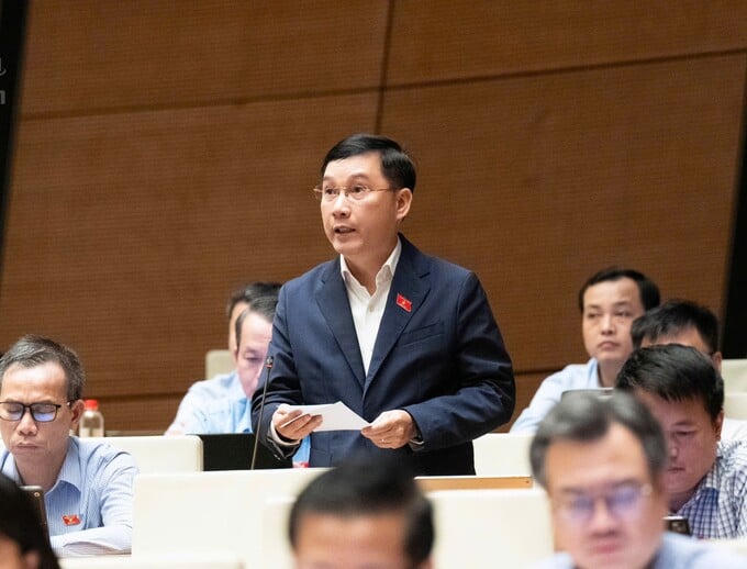 Đại biểu Lê Hoàng Anh.