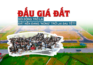 Đấu giá đất sôi động trở lại, đất nền đang trở lại sau Tết?