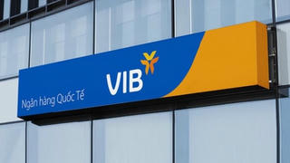Cắt giảm 1.200 nhân sự, chi phí tăng, VIB vẫn báo lãi hơn 5.000 tỷ sau 6 tháng
