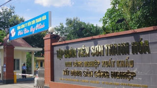 Tiên Sơn Thanh Hóa bị phạt 300 triệu đồng vì công bố thông tin sai lệch