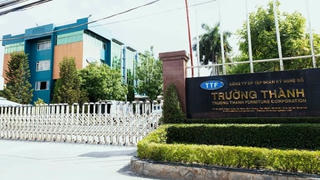 Gỗ Trường Thành tái cấu trúc, giải thể công ty con tại Bình Định