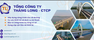 TCT Thăng Long: Quý IV/224 lỗ hơn 9 tỷ đồng, biến động dàn lãnh đạo cấp cao