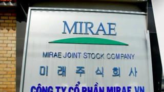 Gian dối để được miễn thuế, Công ty cổ phần Mirae bị xử phạt