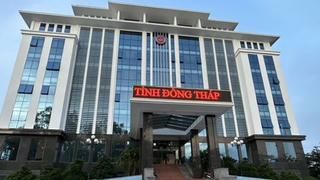Nhiều doanh nghiệp Đồng Thâp nợ thuế xuất nhập khẩu