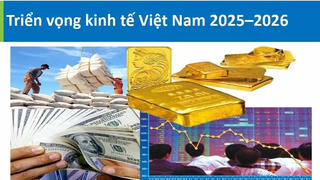 ADB dự báo Việt Nam tăng trưởng 6,6% năm 2025, cảnh báo những thách thức lớn