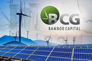 Bamboo Capital thay đổi loạt nhân sự cấp cao