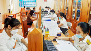 Thanh tra Thuế xử phạt Công ty CP Reich, CBOT Việt Nam, Công nghệ FSI, Sông Đà – Việt Đức, Armephaco