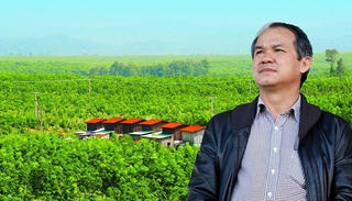 HAGL: Lãi 9 tháng vượt 800 tỷ nhưng vẫn còn xa mục tiêu xoá lỗ luỹ kế