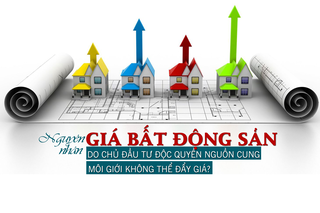 Nguyên nhân giá bất động sản tăng cao: Do chủ đầu tư độc quyền nguồn cung, môi giới không thể “đẩy giá”