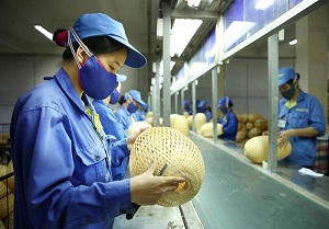 Những “lầm tưởng” của doanh nghiệp nhỏ và vừa khi tiếp cận vốn vay