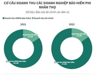 Nghiên cứu giải pháp quản lý và phát triển lĩnh vực bảo hiểm: Nhiều công ty bảo hiểm phi nhân thọ kinh doanh sa sút
