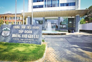 Cổ phiếu bị đưa vào diện kiểm soát, HAGL nói gì?