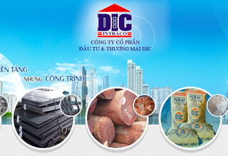 BIDV thông báo bán đấu giá 10.000 m2 đất thuộc tài sản của DIC