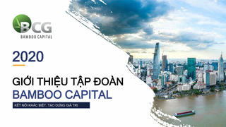 Dồn dập góp vốn 'khủng' vào dự án năng lượng tái tạo, ngân hàng, Bamboo Capital đang làm ăn ra sao?