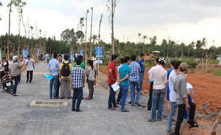 Cá nhân trúng 233 lô đất đấu giá: Dấu hiệu bất thường?