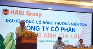 Nhóm nhà đầu tư chi ngàn tỷ thành cổ đông lớn của Hoàng Anh Gia Lai
