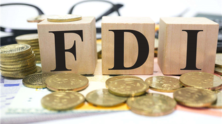 Dòng vốn FDI liên tiếp chảy vào bất động sản Việt Nam