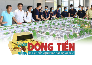 Sau “cơn sốt” vàng, dòng tiền sẽ lại đổ mạnh vào bất động sản?