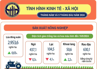 Tình hình kinh tế - xã hội 5 tháng