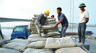 Giá vật liệu xây dựng tăng 3-6%