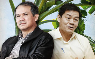 Vì sao HAGL Agrico vẫn lỗ nghìn tỷ khi được Thaco tiếp quản?