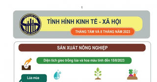 {Infographic} Tình hình kinh tế – xã hội tháng 8 và 8 tháng năm 2023