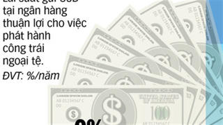 Phát hành công trái USD: Khả thi...